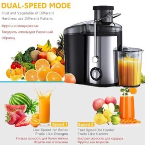 Dual-Speed Fruit Juicer